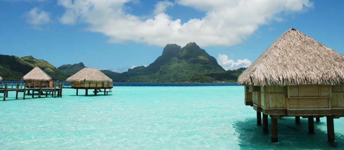 Auryn Drikson - AdobeStock